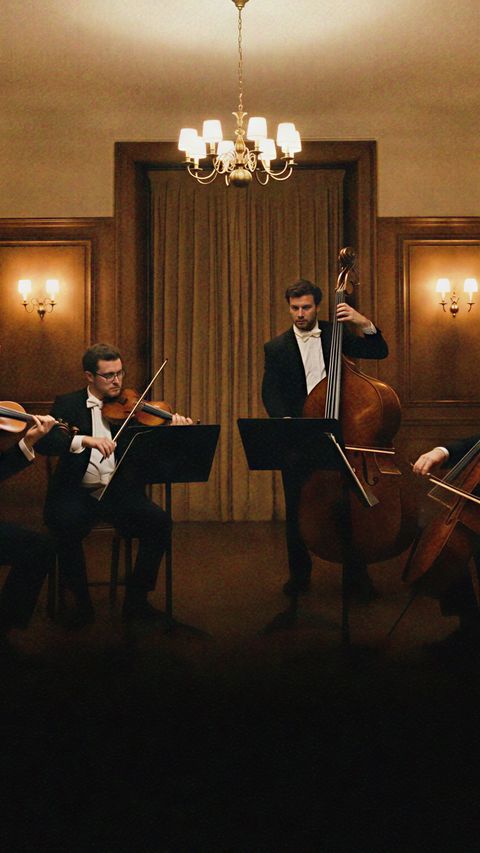 strings section
